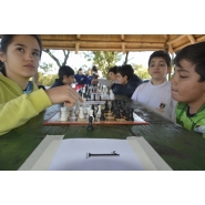Copa Informatica 2017